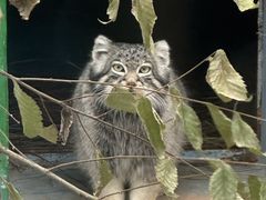 -青藏高原野生动物园