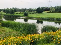 -蒲河岛湿地公园