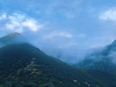 -佛掌沙丘