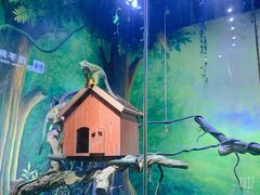 -华夏文旅海洋公园