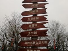 -秀丽东方