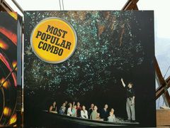 -怀托摩萤火虫洞