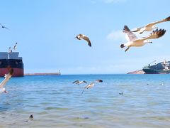 -海驴岛(荣成市)