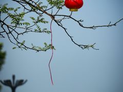 -天津妈祖文化园