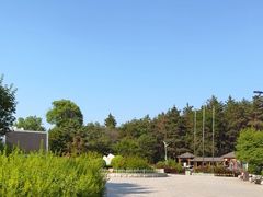 -帽儿山国家森林公园