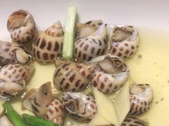 -高佳庄·舟山海鲜(海景旗舰店)