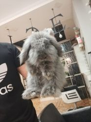 -Nice hair salon奈斯工作室