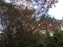-广东大峡谷