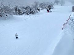 -太子岭滑雪场