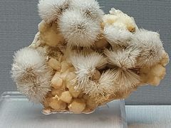 -湖南省地质博物馆