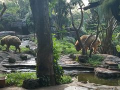 -海南热带野生动植物园