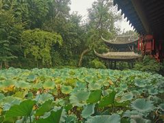 -三苏祠