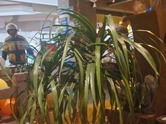 -绿茶餐厅(哈尔滨凯德店)