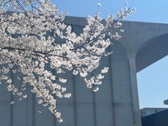 -龙美术馆(西岸馆)