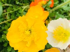 -汉长安城未央宫国家考古遗址公园