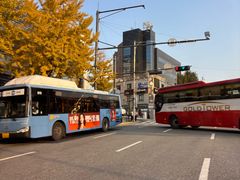 -新罗免税店(首尔总店)