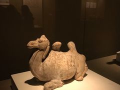 -西安大唐西市博物馆