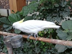 -南宫五洲植物乐园