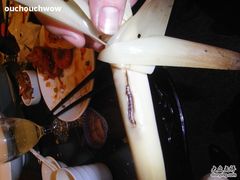虽死犹生的菜虫-宝轩渔府·老字号海鲜·正宗津菜(水上店)