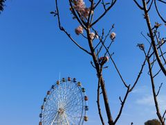 -观澜湖生态运动公社