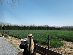 -汉长安城未央宫国家考古遗址公园