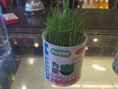 -巴蜀王婆大虾(南锣鼓巷店)