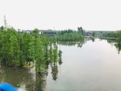 -白鹭湾湿地公园