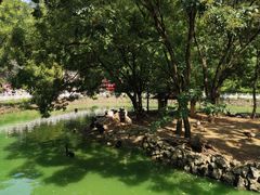 -黔灵山公园