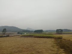 -西环肥仔螺蛳粉(总店)