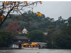 -顺峰山公园