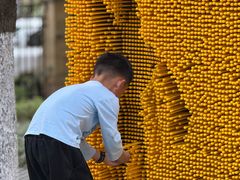 -杭州半山国家森林公园