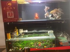 -后院犇牛主题餐厅(云岗店)