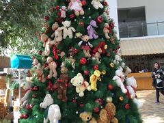 -济州岛泰迪熊博物馆