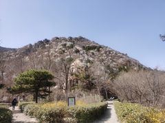 -北京鹫峰国家森林公园