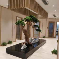 -HQ半永久纹绣纹眉