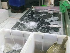 水产区-锦绣大地生鲜食品厅(巨山路店)