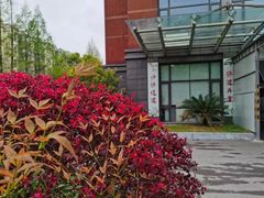 -上海市杨浦区中医医院