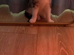 -张正麻辣烫(龙城路店)