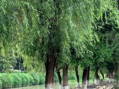 -沙河三洞古桥公园
