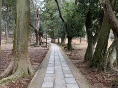 -奈良公园