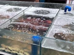 -盐城万豪酒店-盐城厨房西餐厅