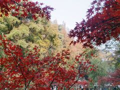 -岳麓山风景名胜区