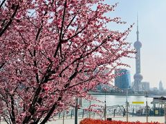 -北外滩滨江绿地