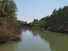 -苏州太湖国家湿地公园