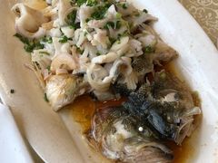 葱油淋鲈鱼-新东城喜宴海鲜酒家(同德店)