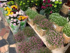 -秦美花卉(天朗·莱茵小城2期店)