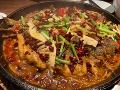 -老板恋上鱼(印象城店)