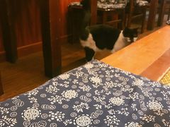 门面-樱の花亭日本料理店