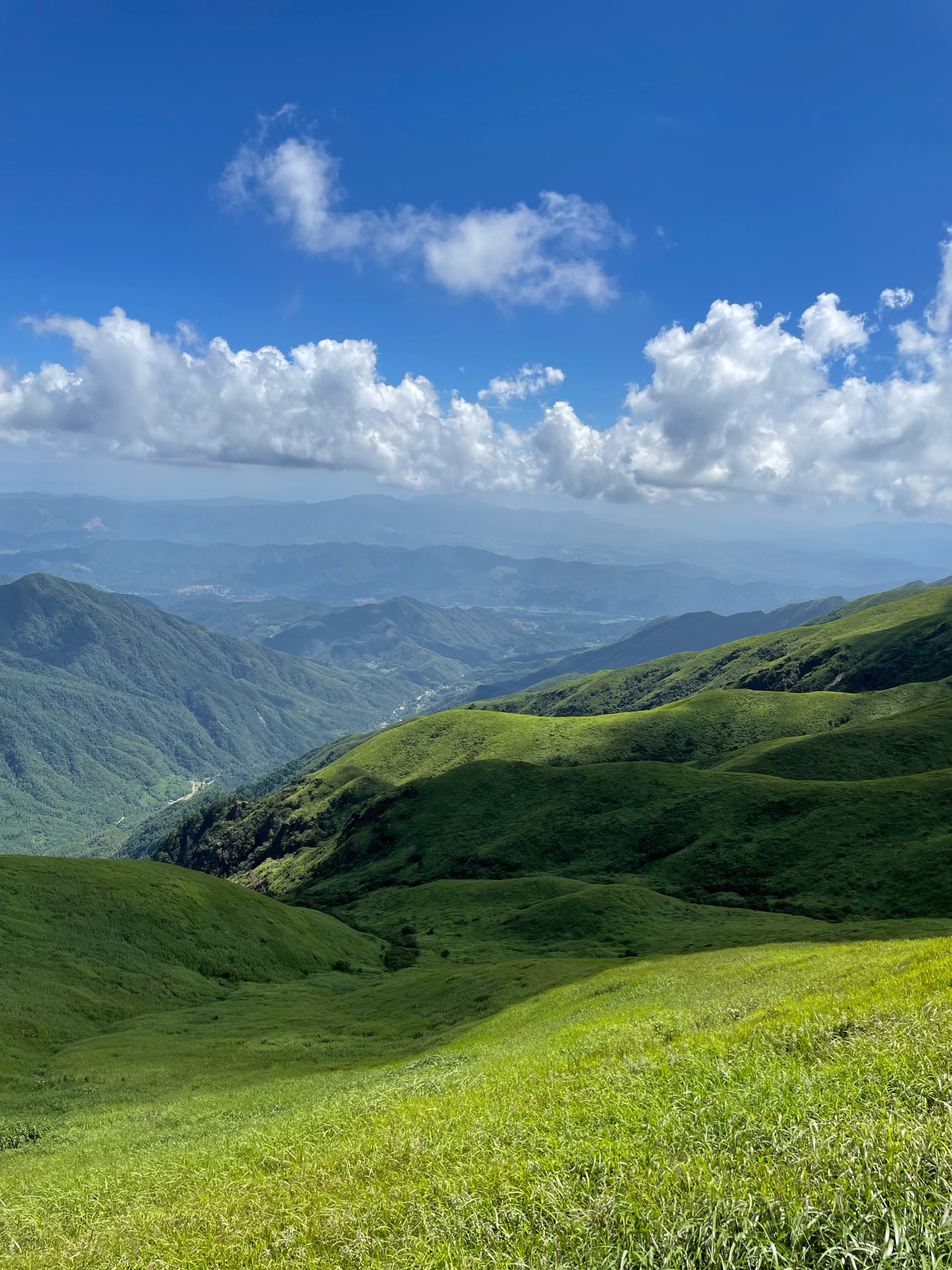 山顶的风景真美啊图片