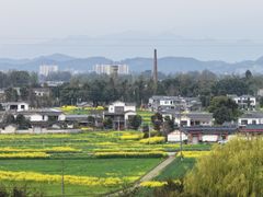 -桤木河湿地公园